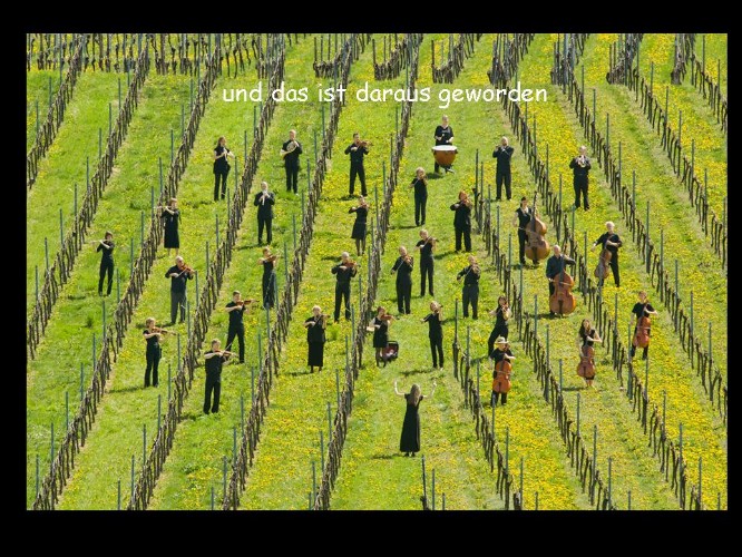 ../Images/Folie2.jpg